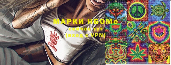молекула духа Новокубанск