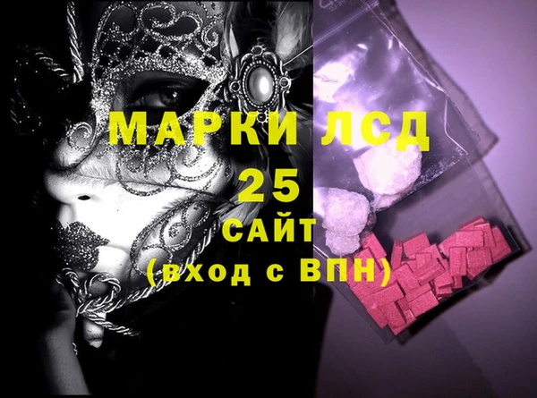индика Новозыбков