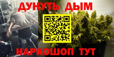 индика Пугачёв