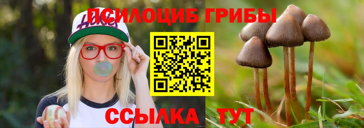 Псилоцибиновые грибы мухоморы  Вход с VPN  Сочи  Псилоцибиновые грибы Magic Shrooms 